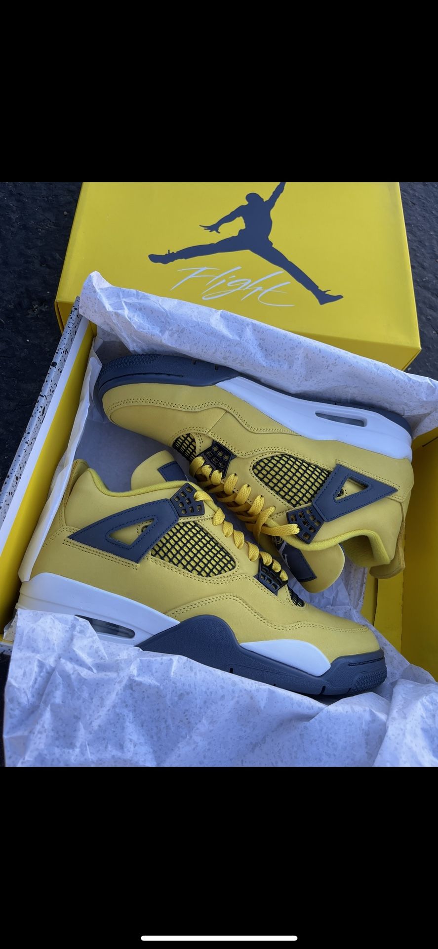 Air Jordan Retro Lightning