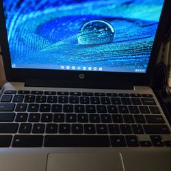 School Chromebooks