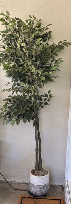 Large Artificial Ficus Tree with Planter