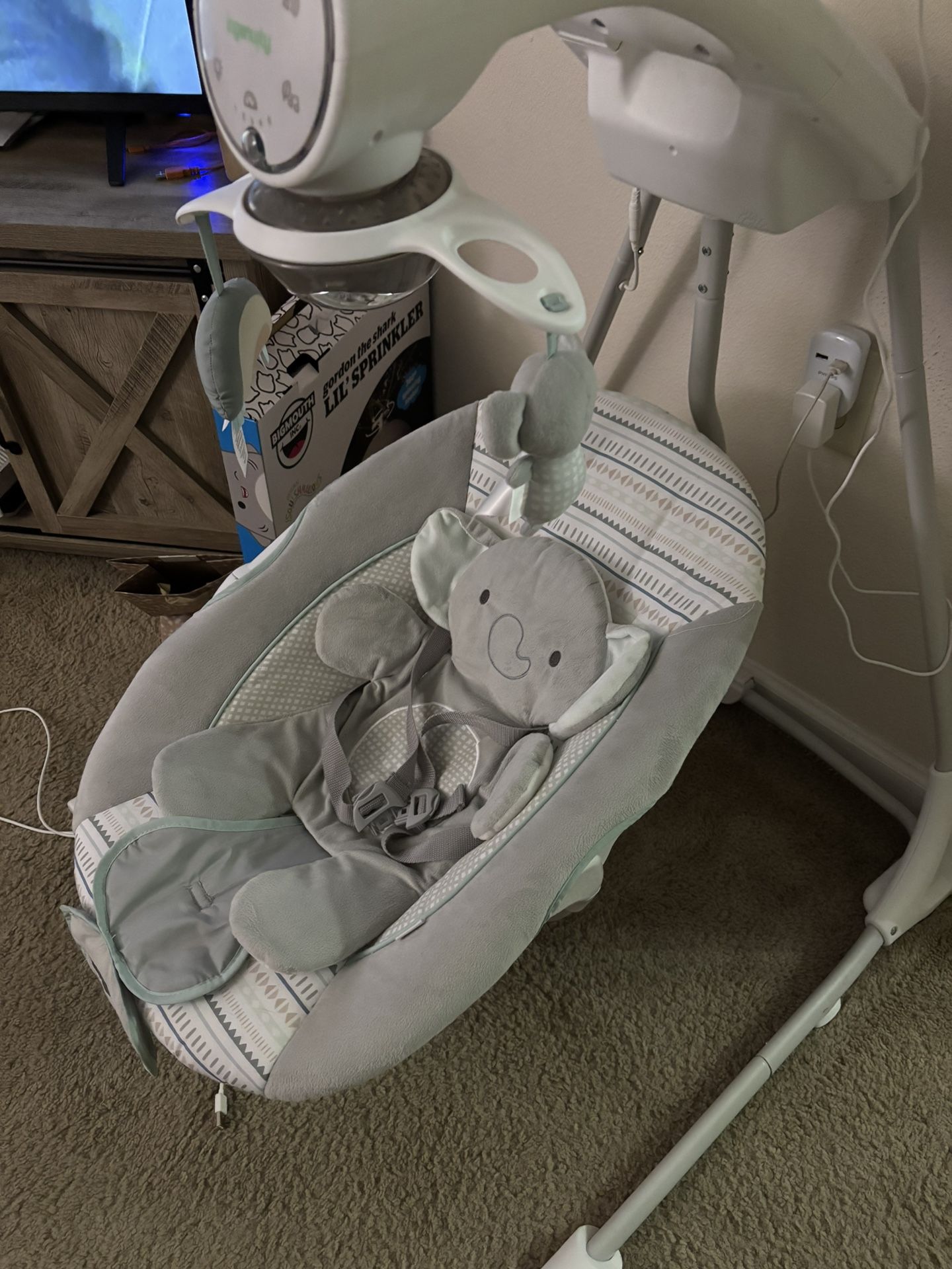 Baby Swing