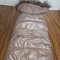 Clothes For Small Dogs 