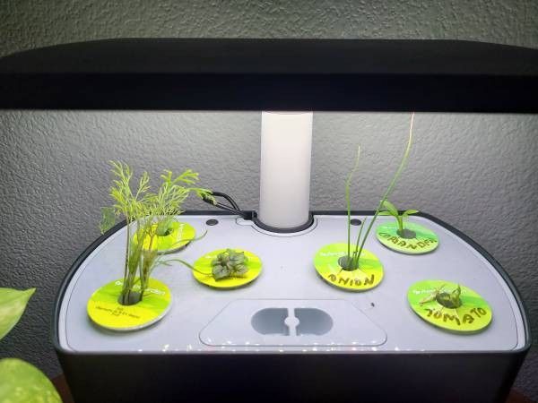 AeroGarden Harvest...garden Indoor