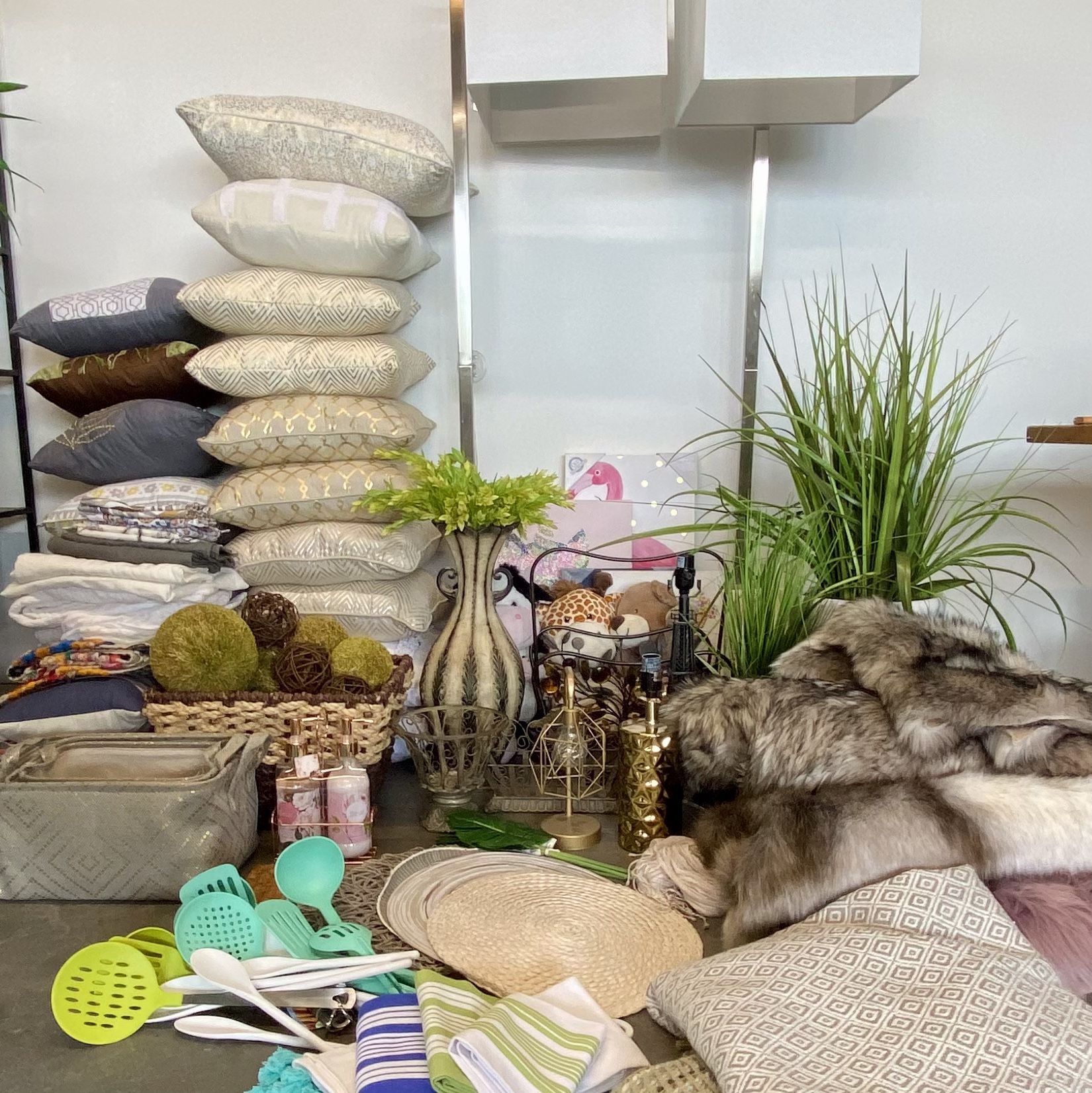 Miscellaneous Lot - Starter Kit - Home Staging Home Decor Items Pillow Lamp Throw Art Canvas Rug Faux Plants