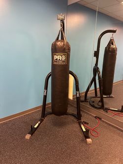 Punching / Kick bag with stand