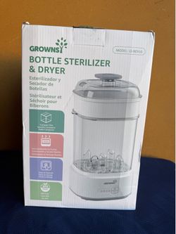 Electric steam sterilizer
