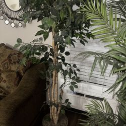 Fake Bamboo And Fake Leafy Plant 6ft