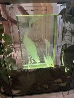 Decorative Lighted Plant Aquarium Glass And Mirror