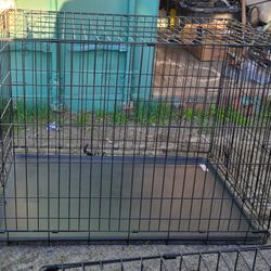 Different Types OfCages