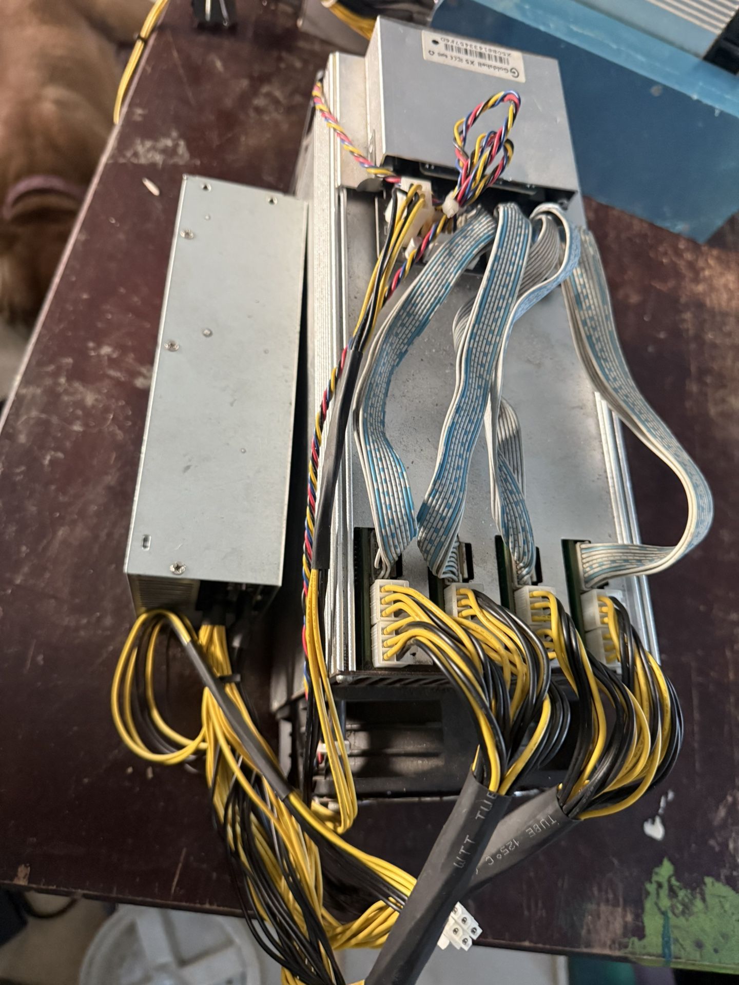 Gold Shell Crypto Miner(s)