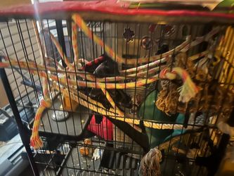 Rat / ferret three level cage