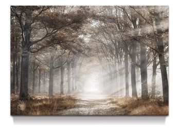 New!✨ 45x30 Autumn Forest Canvas Wall Art. Retails For $100