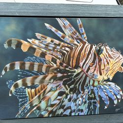 Clint Eager Artist Lion Fish