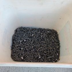 Bucket of 1.5 Inch Hanger Nails