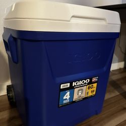 Igloo Cooler 