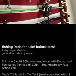 Fishing Rods baitcasters