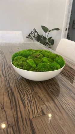 Display Bowl With Live Moss