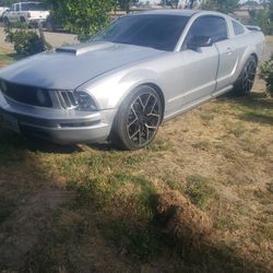 2005 Ford Mustang
