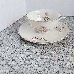 Royal Duchess Fine China Tea Cup & Saucer Bavaria Germany vintage Silver Trim