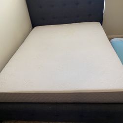 Need Gone Today!