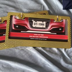 2 Pack Gold Metal Plate Frames 
