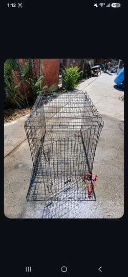 Dog cage