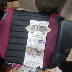 Brand New With Tags Booster Seat
