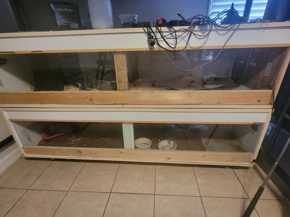 Reptile Tanks