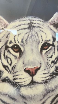 White tiger 22x28