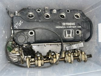 D15b7 Head