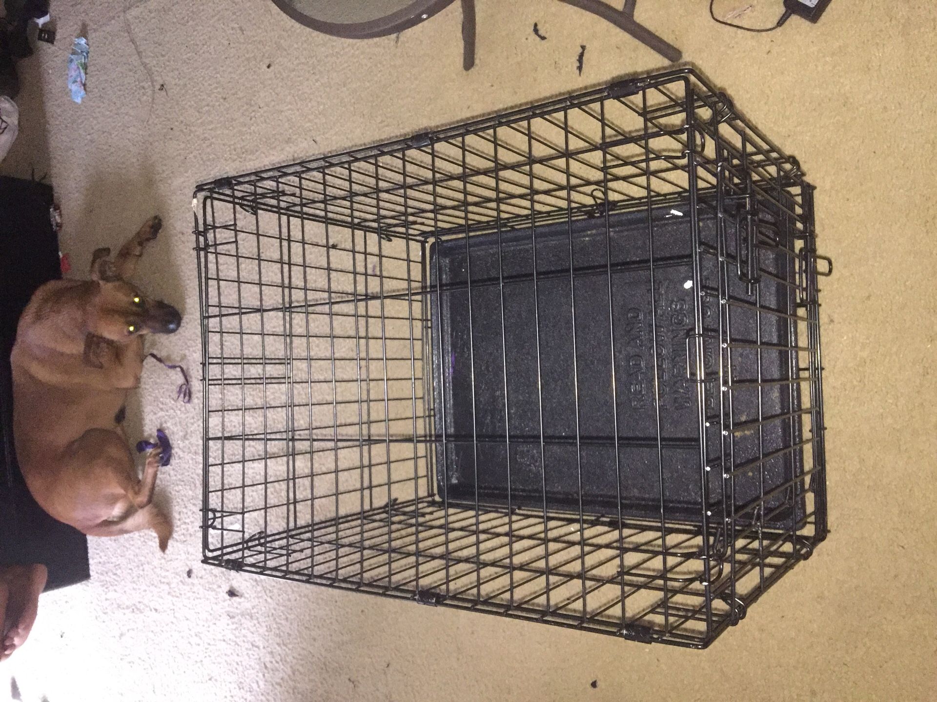 Small 24” or XL 42” dog crate w/ tray