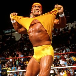 Hulk Hogan Signed Autographed TNA Bat BAS authenticated