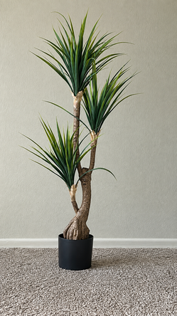Tall Decorative Plant with Black Pot