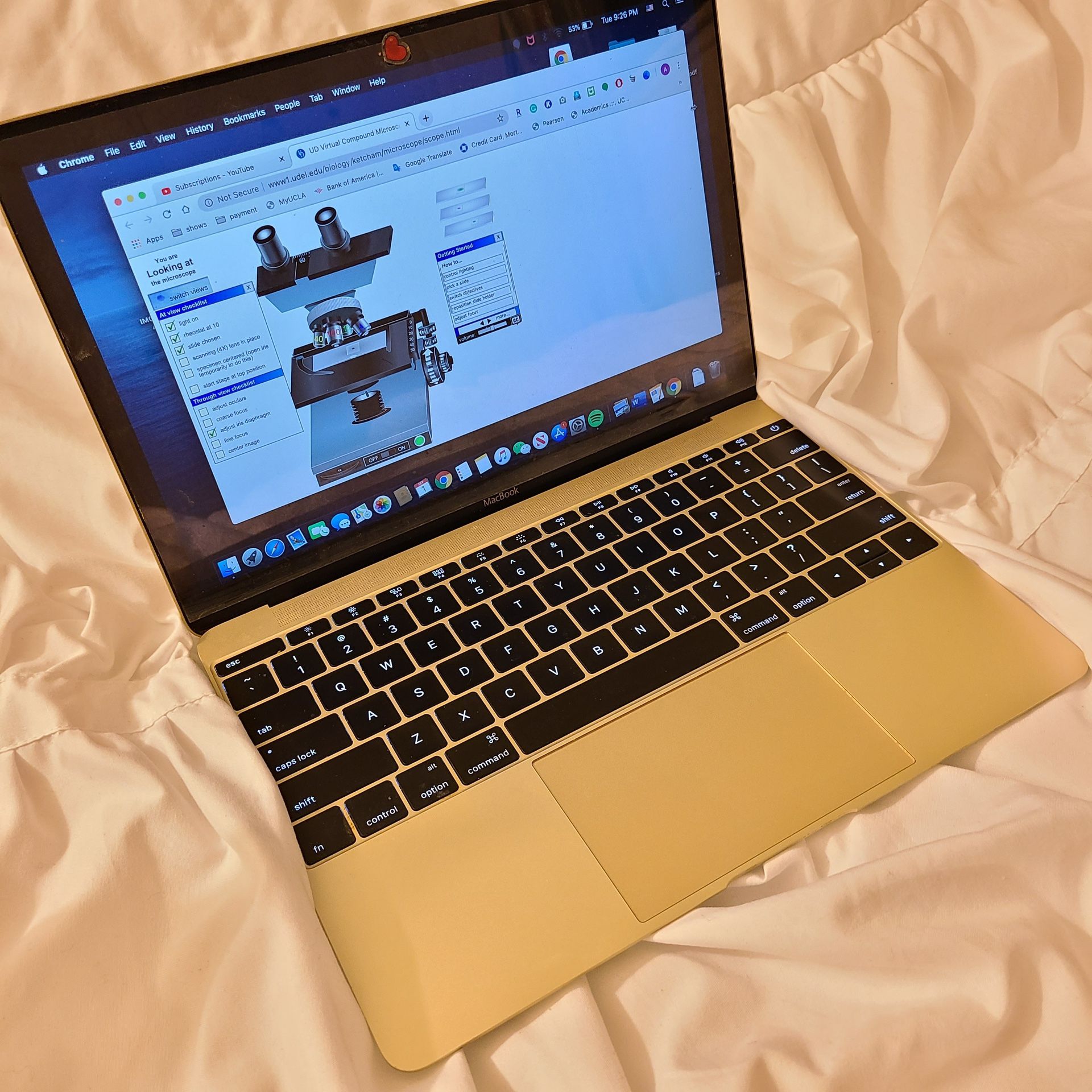 Apple 12” Gold MacBook Computers & Accessories