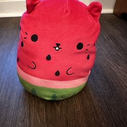 Cats Vs. Pickles Water-Meow-Lon 8.6-Inch JUMBO Plush Figure