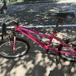 MAGNA GREAT DIVIDE 20"6 SPEED BICYCLE Fits adults and Children/youth