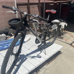 Mountain Bike