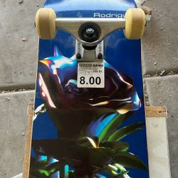 Skateboarding 