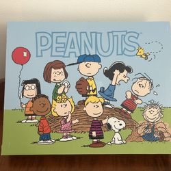 Snoopy Peanuts Wall Art Canvas - like brand new 14” x 11.25”