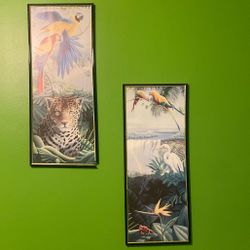Duo Framed  Jungle Pictures