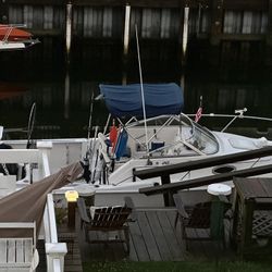 2000 Proline 201 walkaround