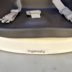 Ingenuity Booster Seat 