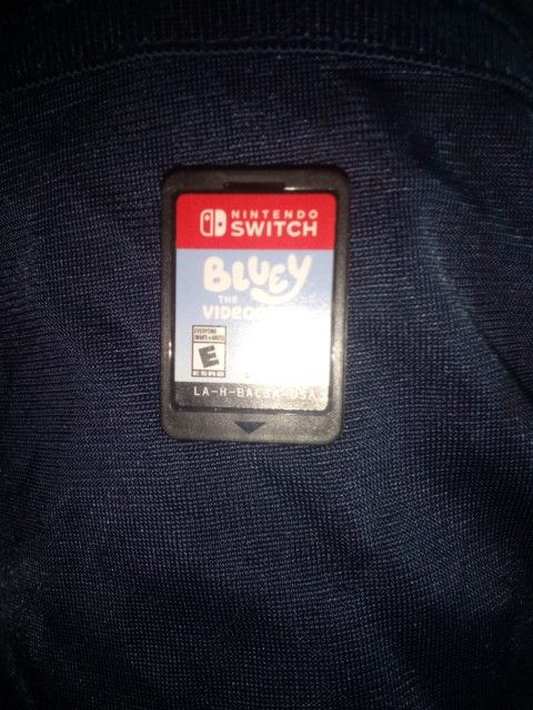 Bluey Switch Game