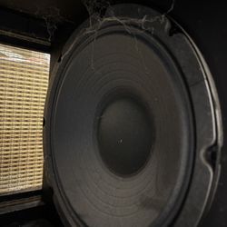 Speakers for big Fender Acoustisonic Amp