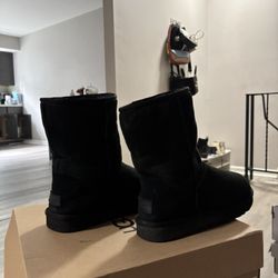 Used Uggs
