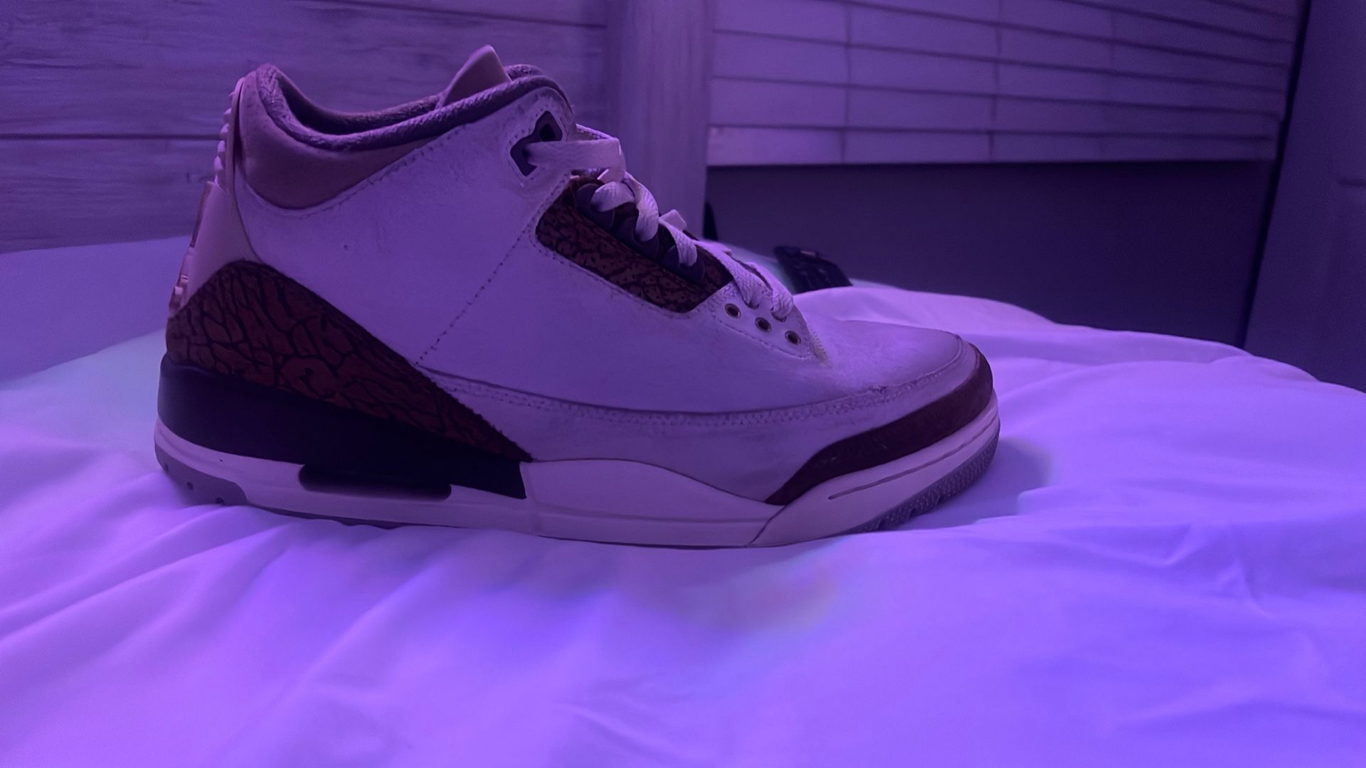 Jordan 3s Size 10