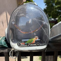 Bird Backpack 