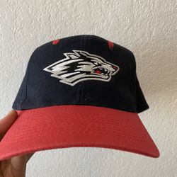Vintage Wolves Snapback