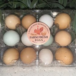 🥚 Farm Fresh Goodness – Naturally Better Eggs 🐓