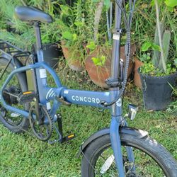 Foldable electric bike