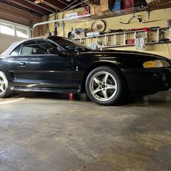 1998 Mustang Cobra